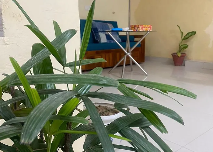 Ideal Hotel In Posh Vasant Vihar Big 1110 Sq Ft
